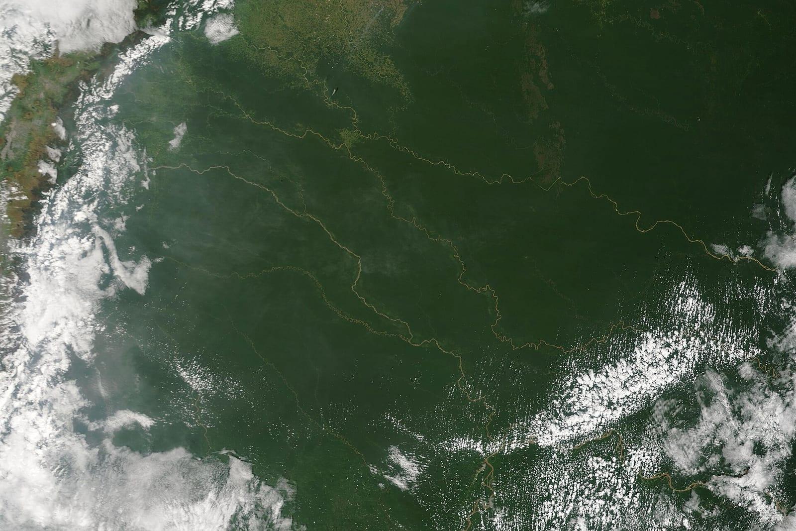 Satellite view of the green expanse of the Amazon rainforest.