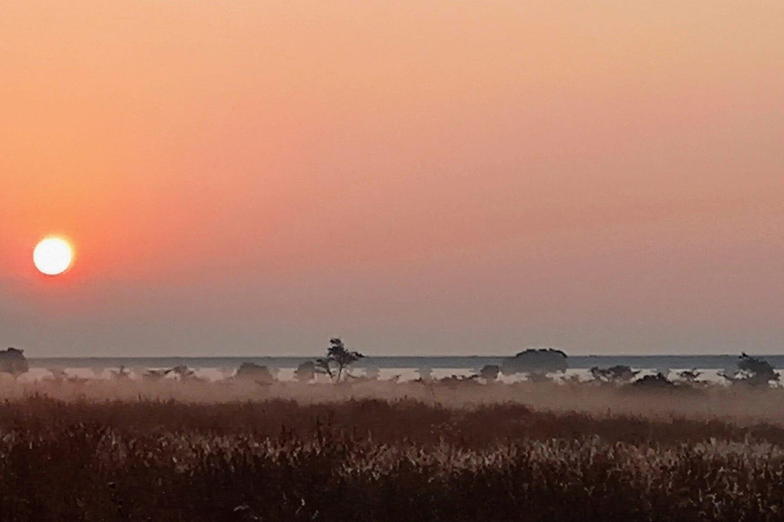 A warm, misty sunrise over open country.