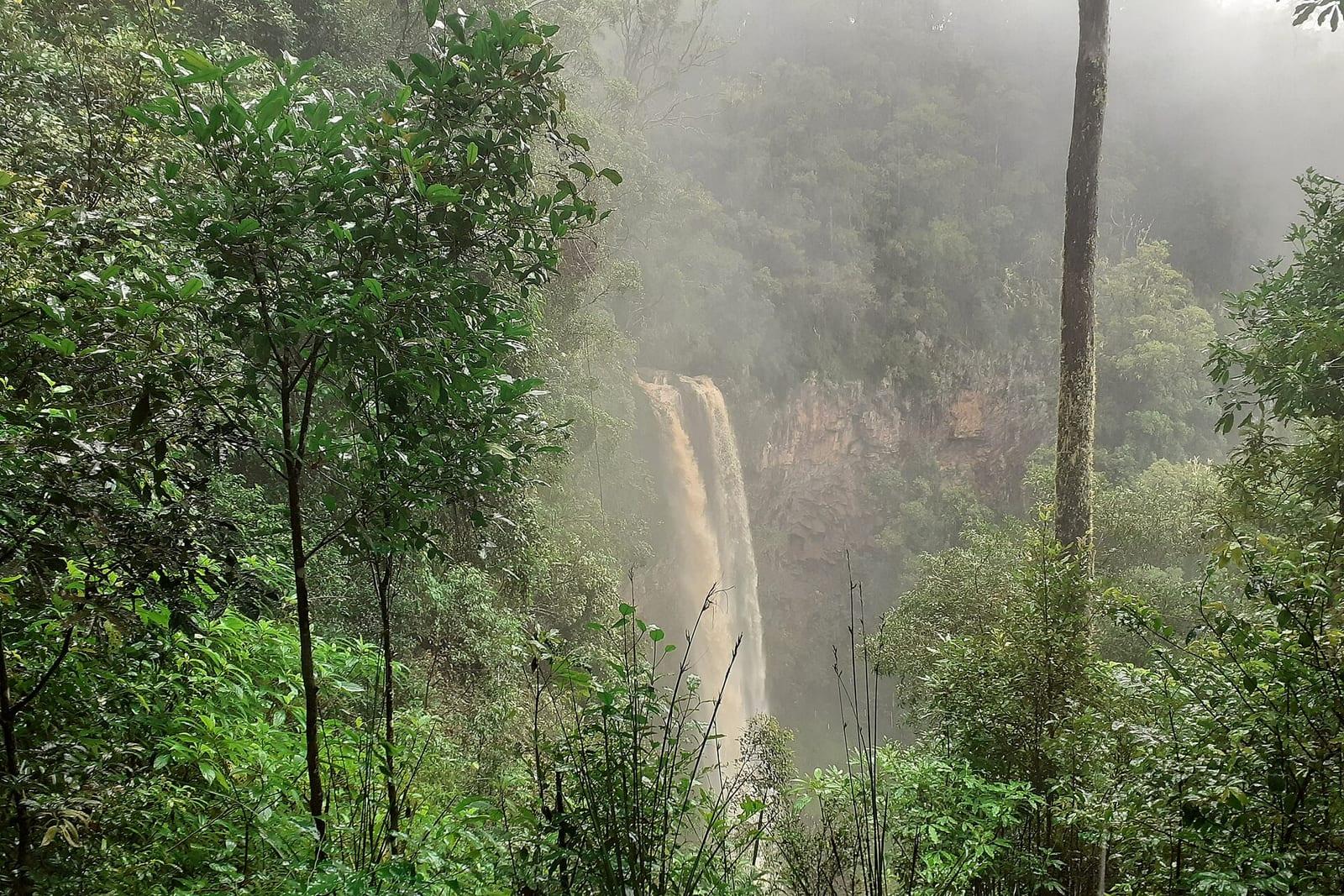 A waterfall flowing through misty rainforest.