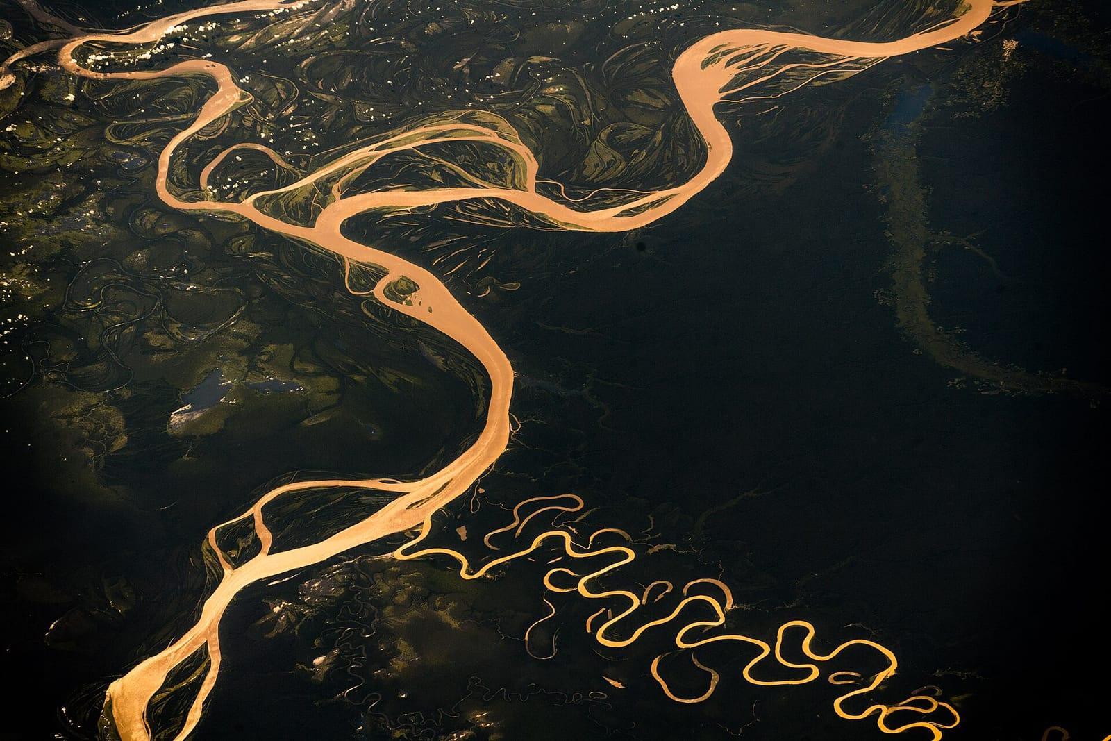 Golden river channels winding through dark Amazon forest, seen from above.