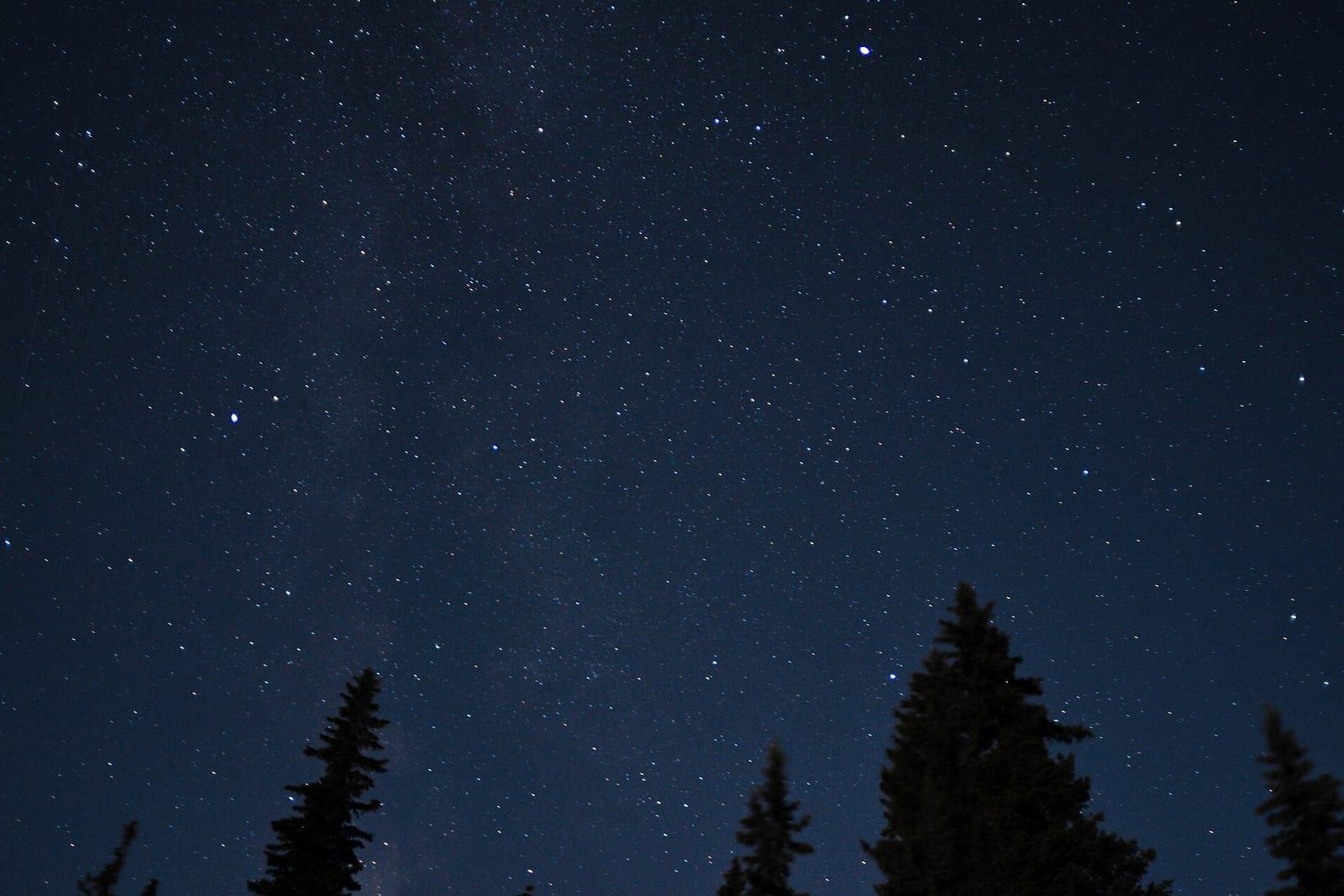 A star-filled night sky above silhouetted trees.